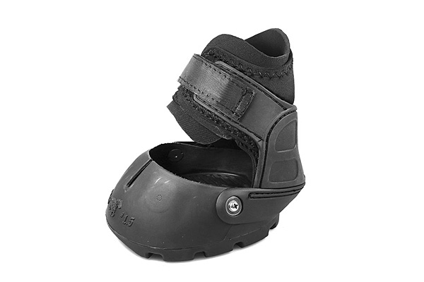Easyboot Glove